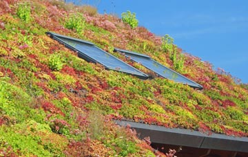 Corriecravie living roof systems